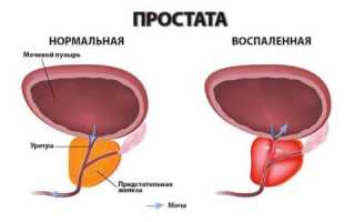 Основные правила нанесения макияжа