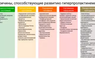 Норма гормона пролактина в крови у женщин