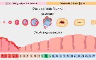 Причины появления кровотечения через неделю после менструации