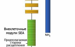 Анализ на раковые антигены: онкомаркер СА-125