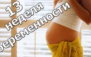 13 неделя беременности: что происходит?