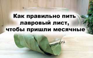 Как применяют лавровый лист для лечения отклонений цикла месячных?