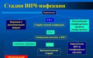Что это значит: диагноз ВИЧ 3 стадии