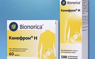 Правила применения Канефрона при лечении отеков
