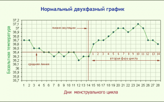 Определение овуляции по графику базальной температуры