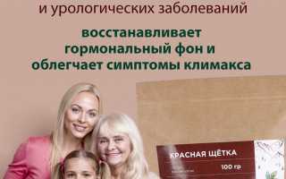 Как применяется красная щетка в лечении женского бесплодия