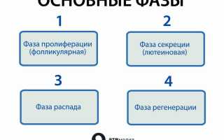 Как эффективно ускорить приход месячных при задержке?