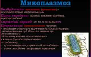 Микоплазма: что это такое, пути передачи, диагностика, лечение