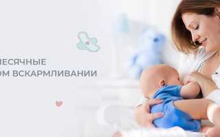 Когда придут месячные после родов при грудном вскармливании?