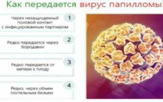 Виды и типы папиллом: разновидности, характеристики, лечение