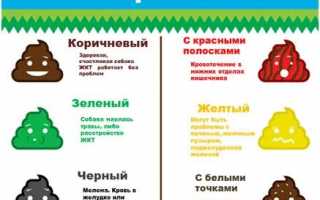 Темный цвет кала – при каких болезнях, какие врачи лечат и необходимые процедуры