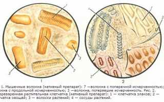 Жирные кислоты, мыла и мышечные волокна в кале