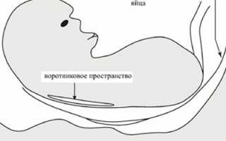 Что означает показатель ТВП на скрининге при беременности