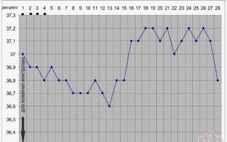 Как и для чего составляется график базальной температуры?