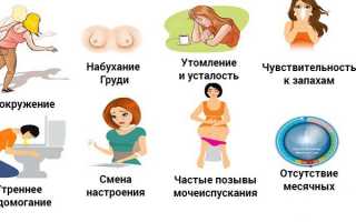 Почему долго нет месячных, и что делать в такой ситуации?
