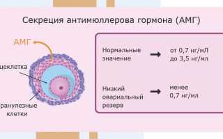 Есть ли шанс забеременеть при низком АМГ?