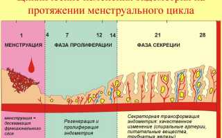 Почему случаются преждевременные месячные?